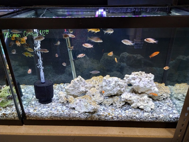 Reef Keepers - Photo 3