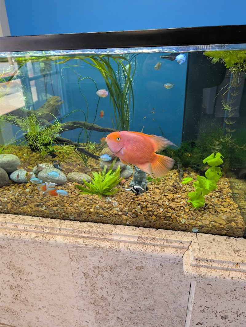 Reef Keepers - Photo 4