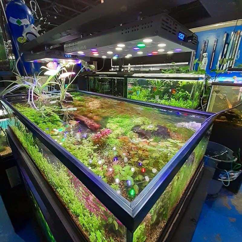 Rivers & Reefs - Photo 2