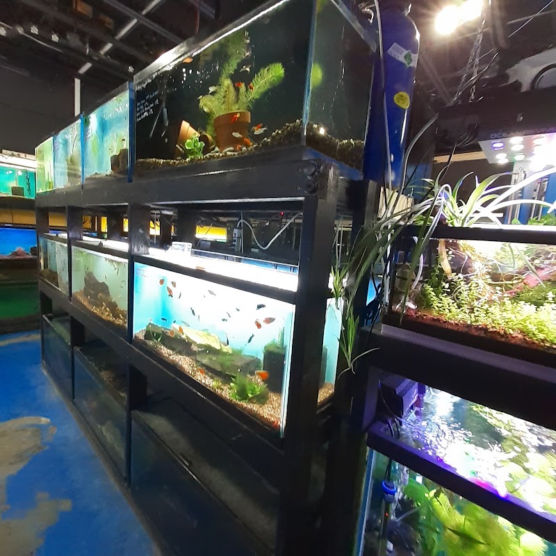 Rivers & Reefs - Photo 3