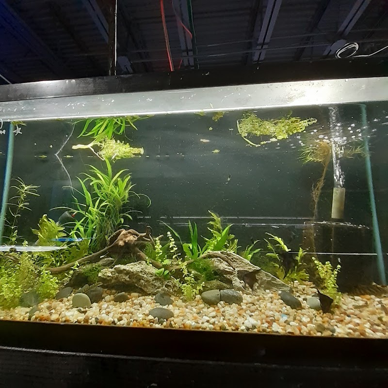 Rivers & Reefs - Photo 4