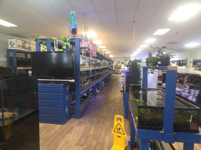 Too Many Tanks - Photo 2