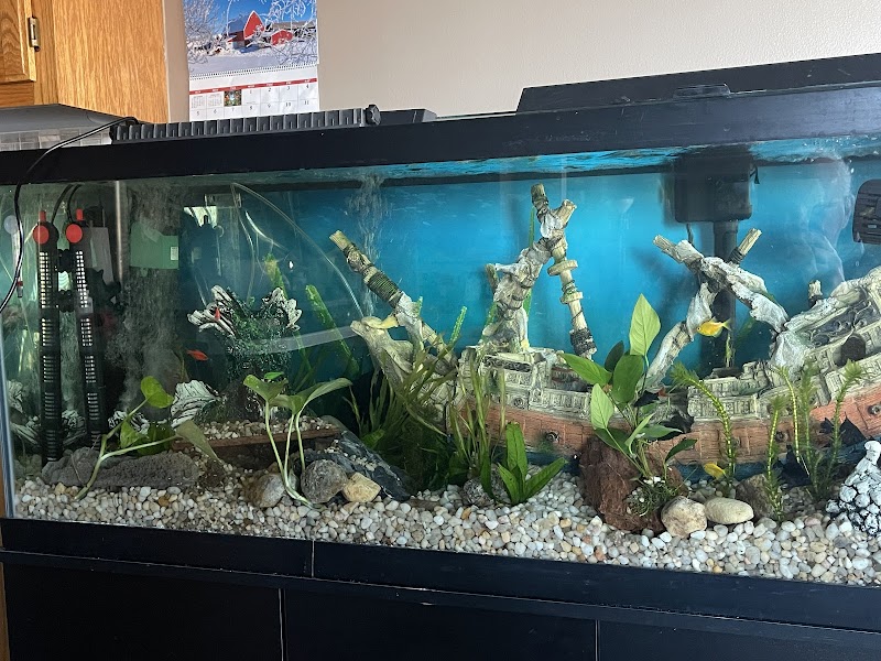 Too Many Tanks - Photo 3