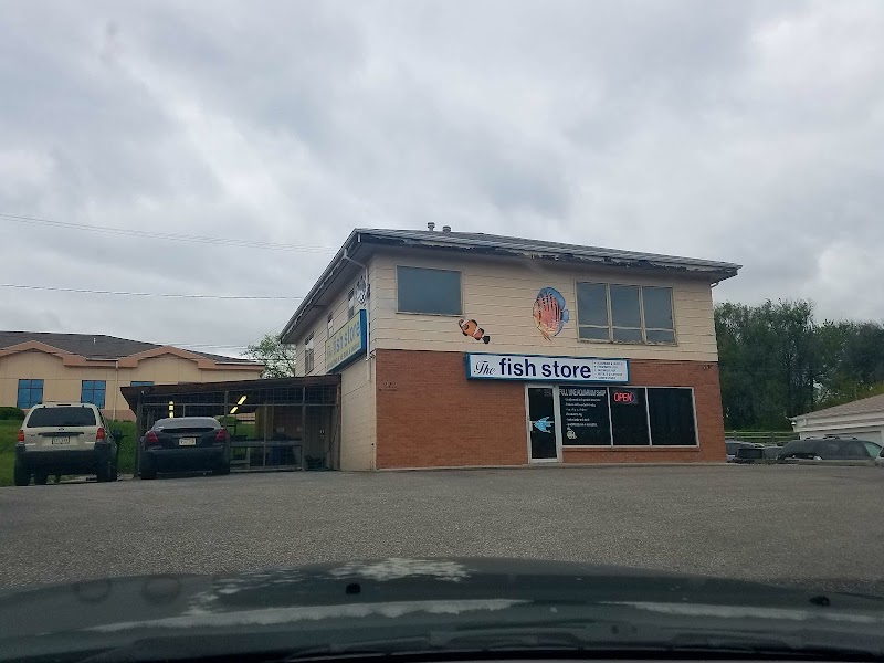 The Fish Store - Photo 1