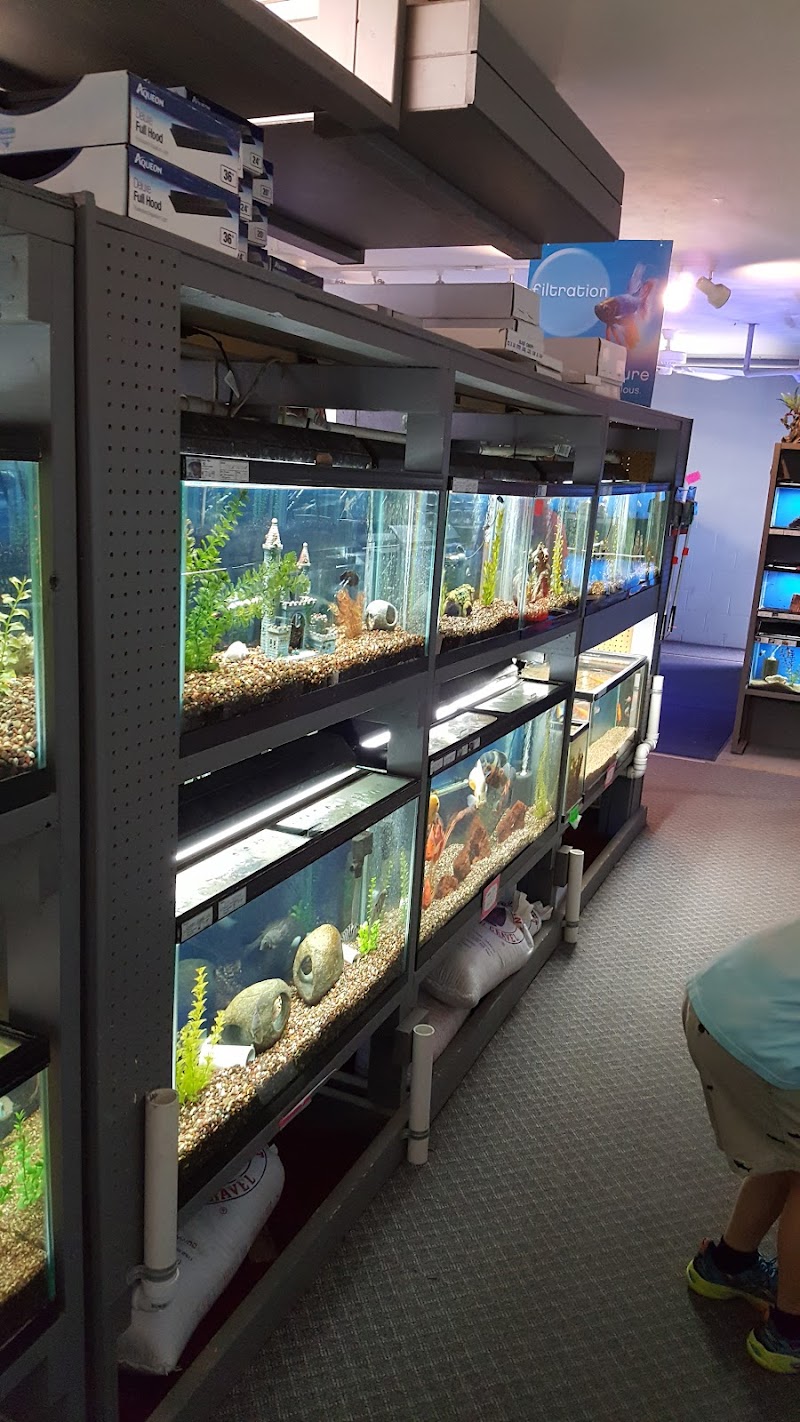 The Fish Store - Photo 2