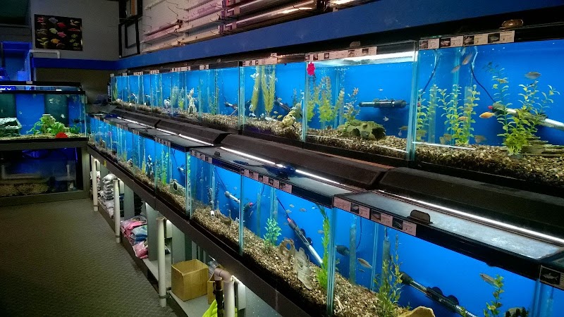 The Fish Store - Photo 5