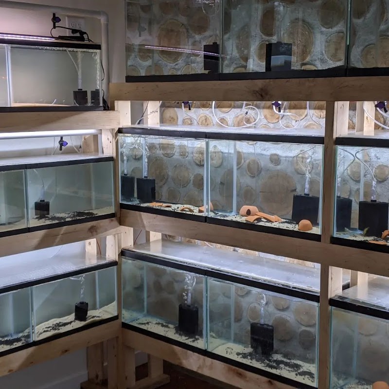 Tristan's Tropical Fish LLC - Photo 1