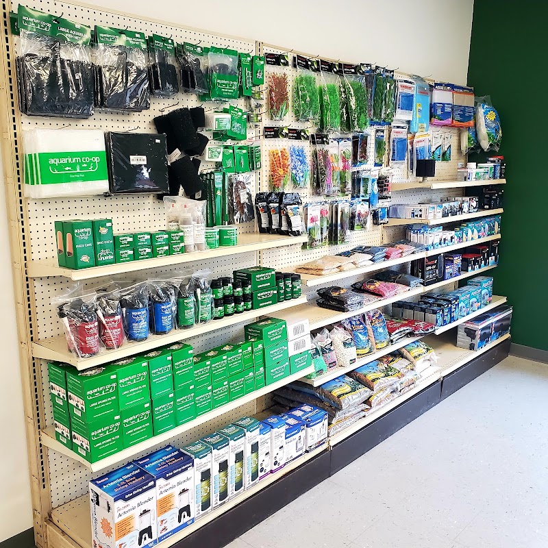 Fishy Vibes Pets and Supplies - Photo 2