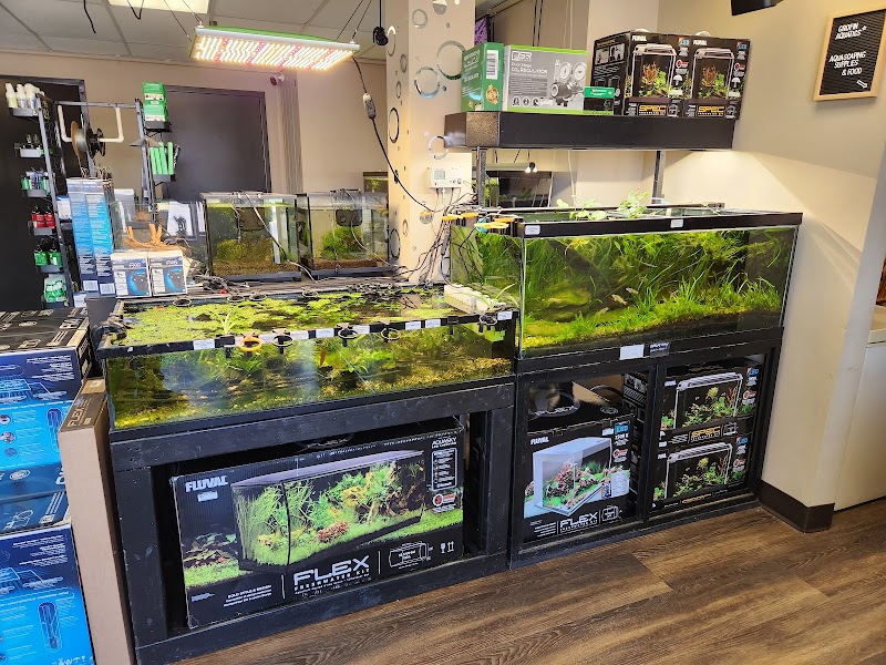 GroFin Aquatics - Photo 3