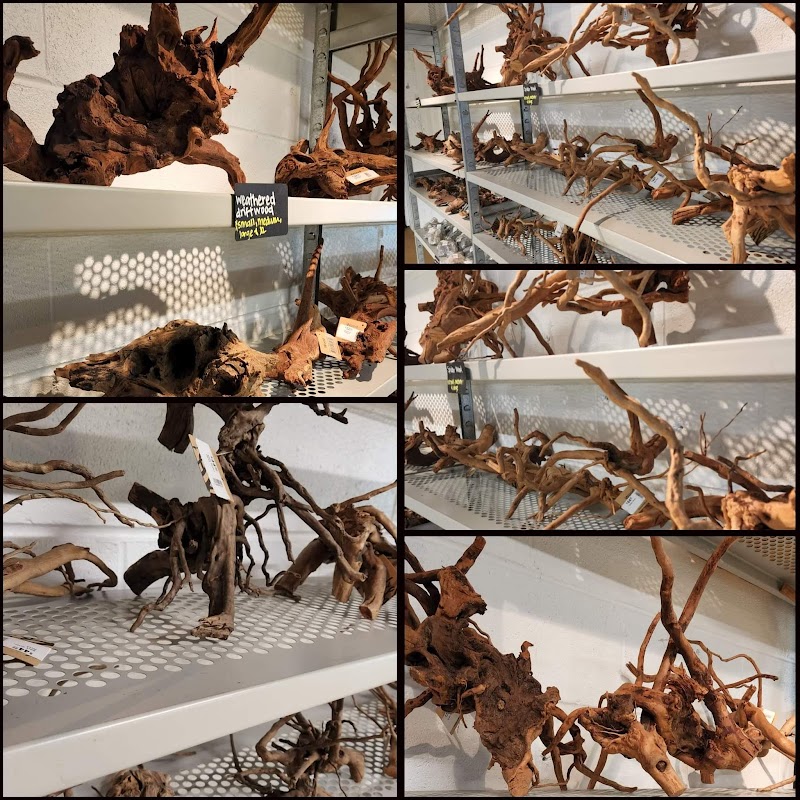 GroFin Aquatics - Photo 5