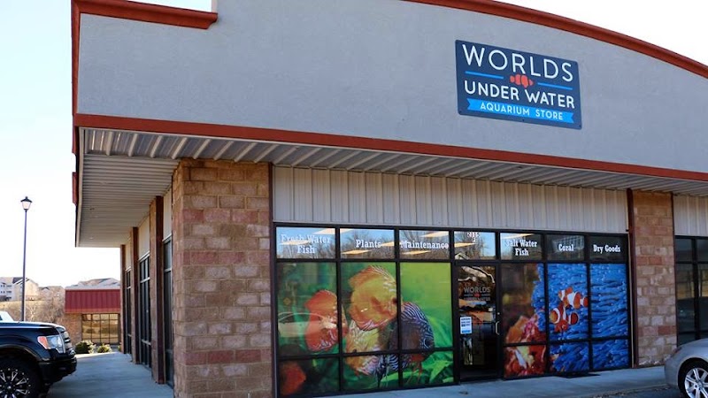 Worlds Under Water - Photo 1