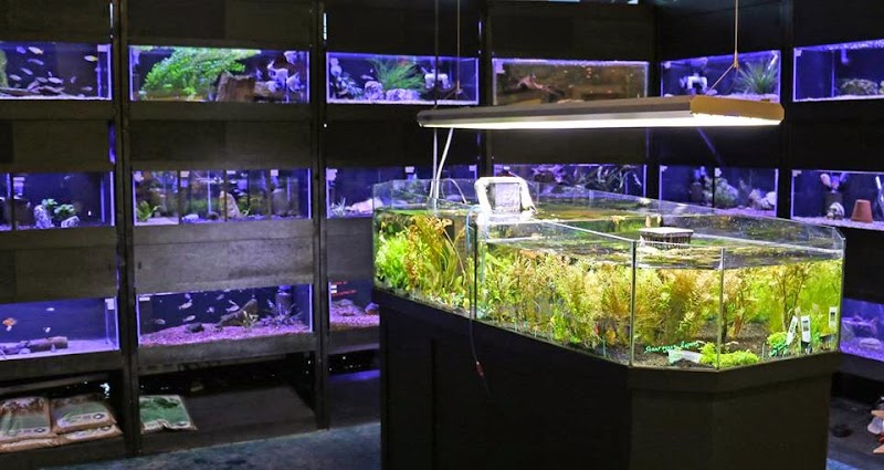 Worlds Under Water - Photo 2