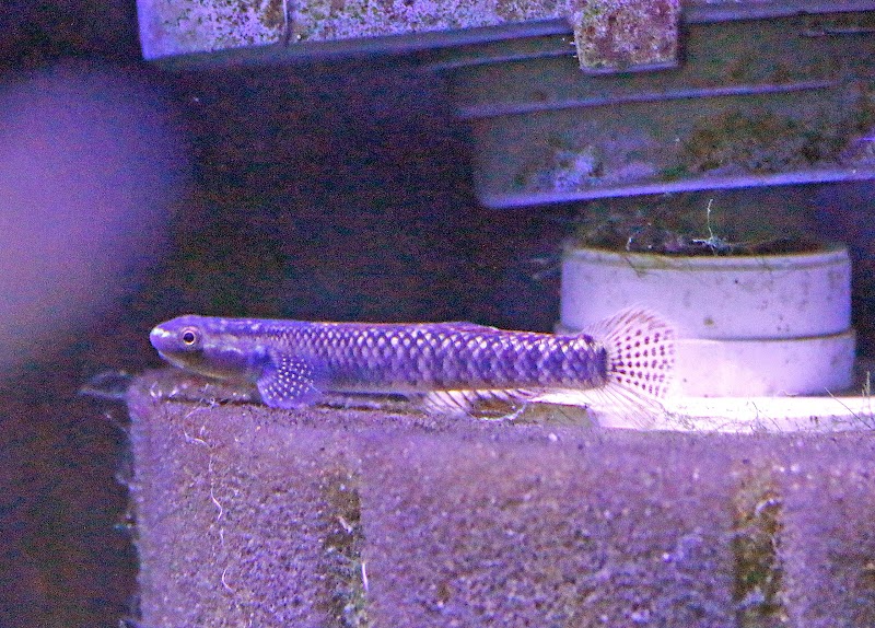 Worlds Under Water - Photo 4