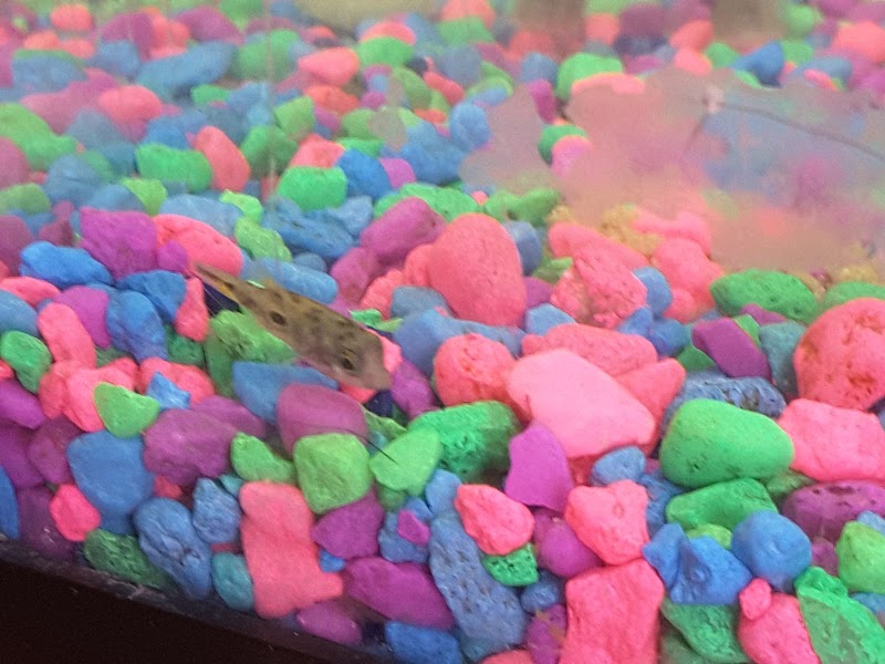 Tropical Valley Fish & Pets - Photo 3