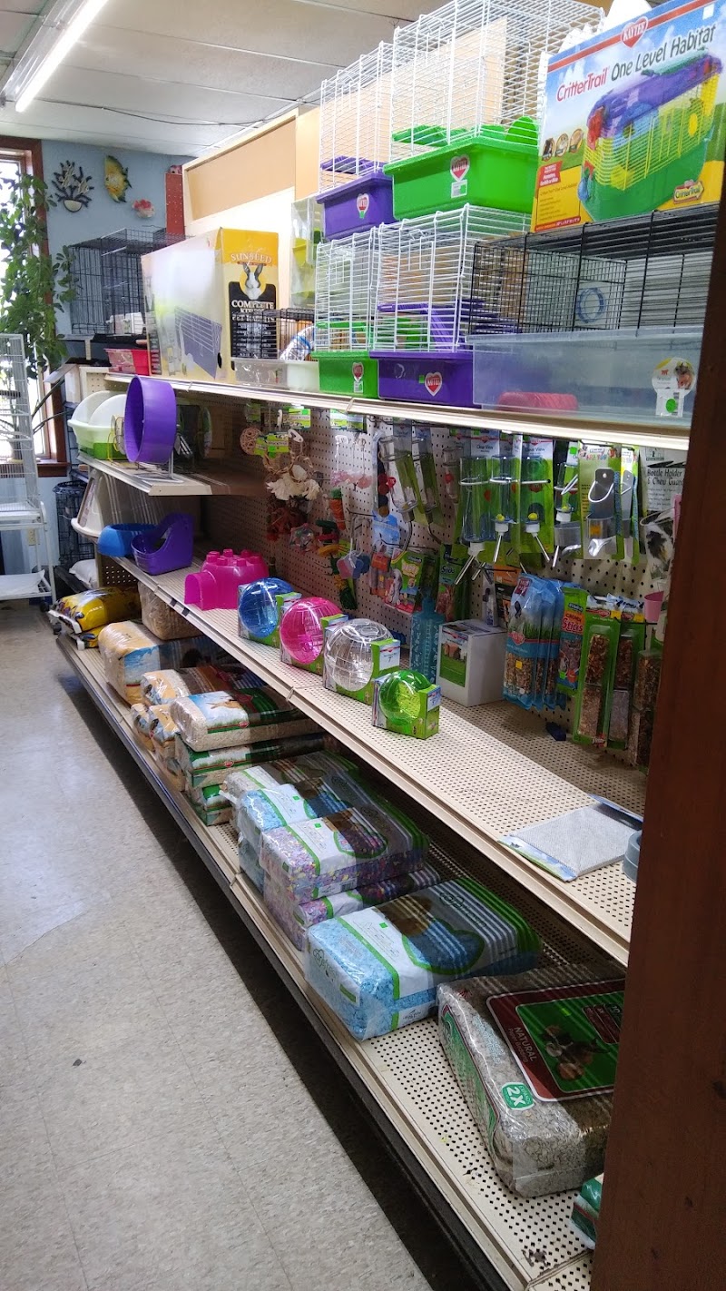 Fins 'n Things - Photo 3