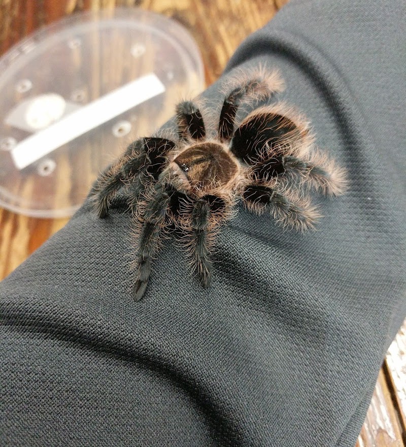 Fins 'n Things - Photo 4