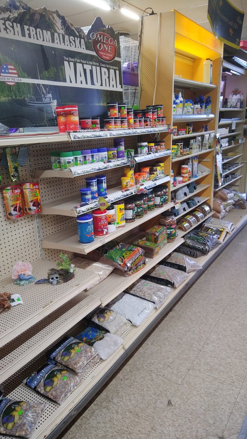 Fins 'n Things - Photo 5