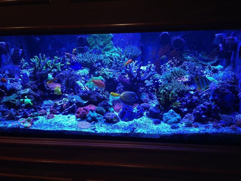 Sioux Falls Aquatics - Photo 2