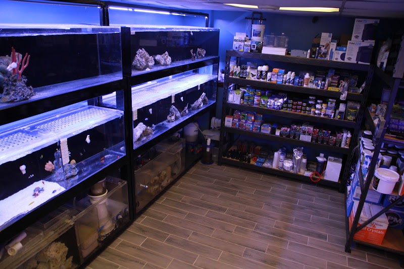 Sioux Falls Aquatics - Photo 3