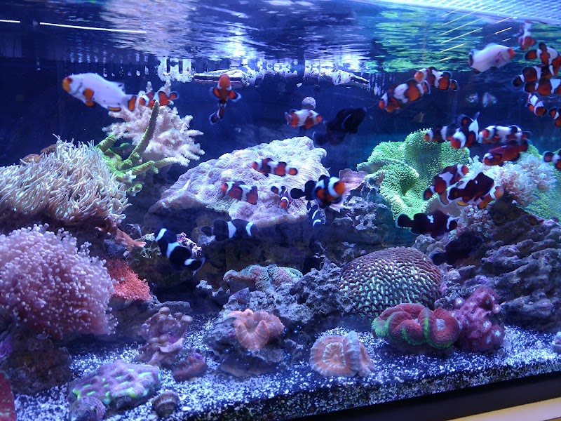 Sioux Falls Aquatics - Photo 5