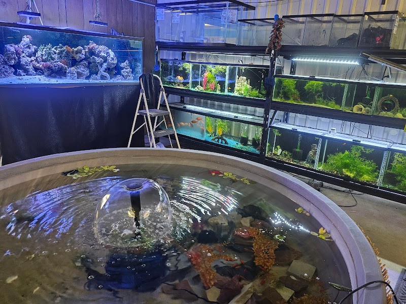 Loess Hills Pet Collective - Photo 2