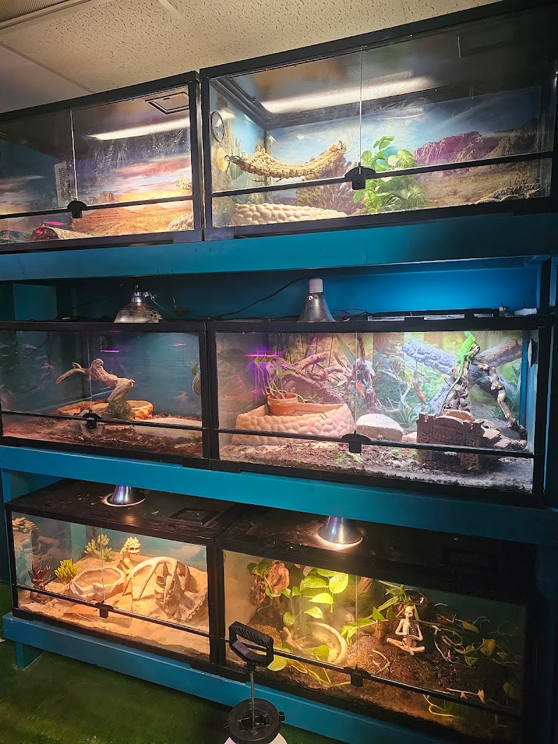 Loess Hills Pet Collective - Photo 4