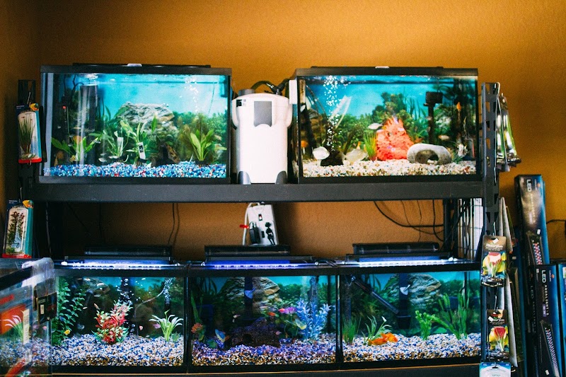 Becky's Aquarium Works LLC - Photo 2