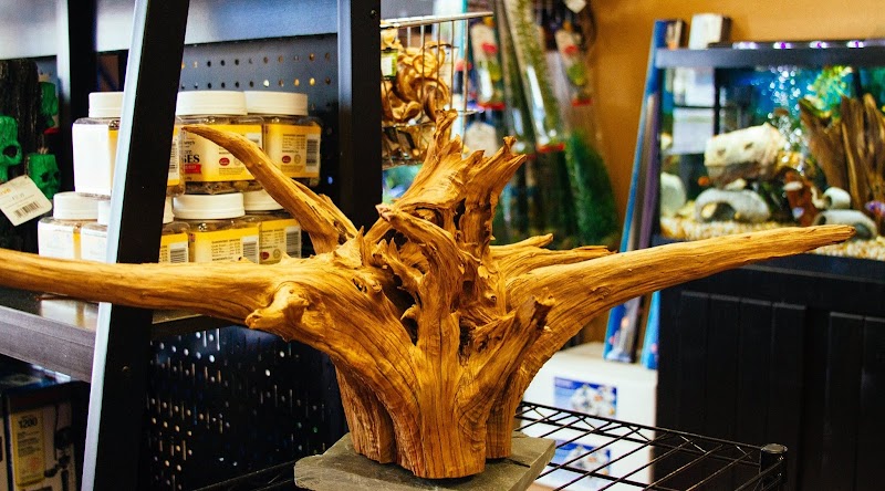 Becky's Aquarium Works LLC - Photo 4