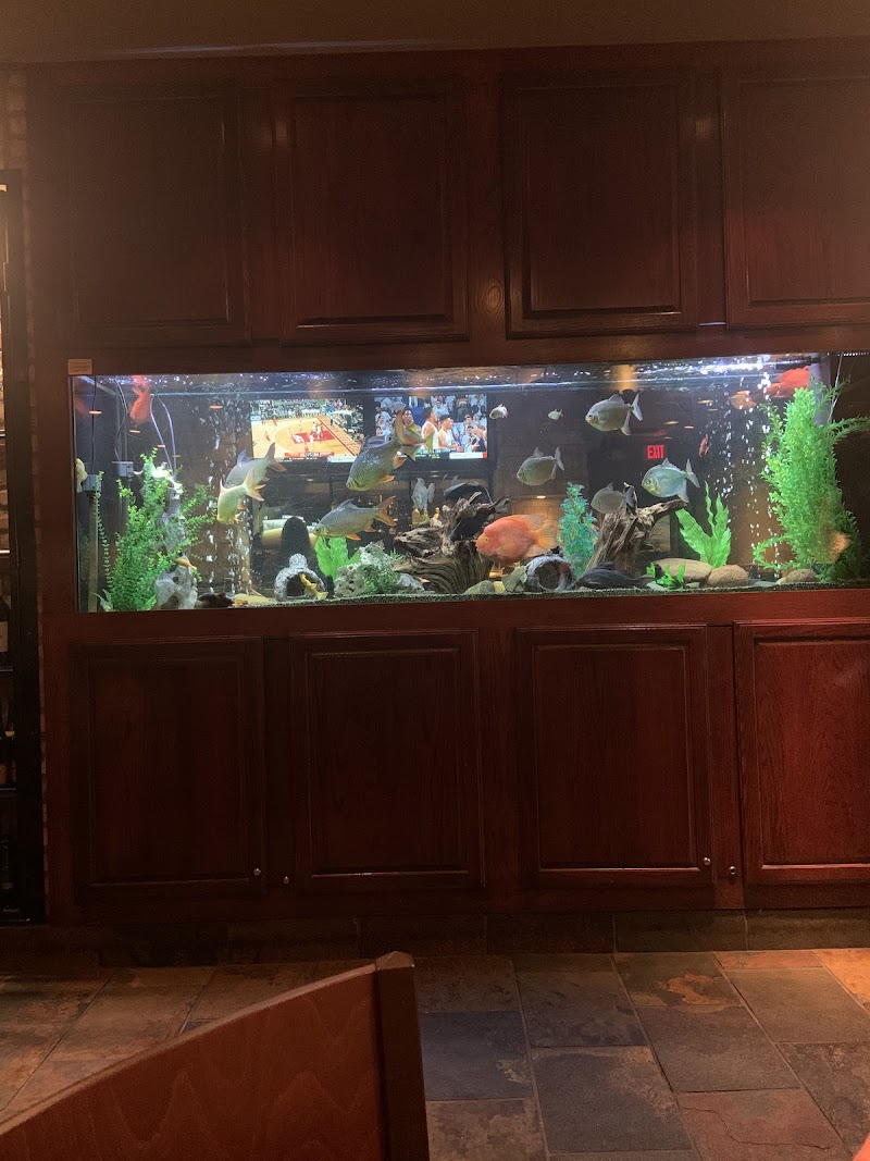 Becky's Aquarium Works LLC - Photo 5