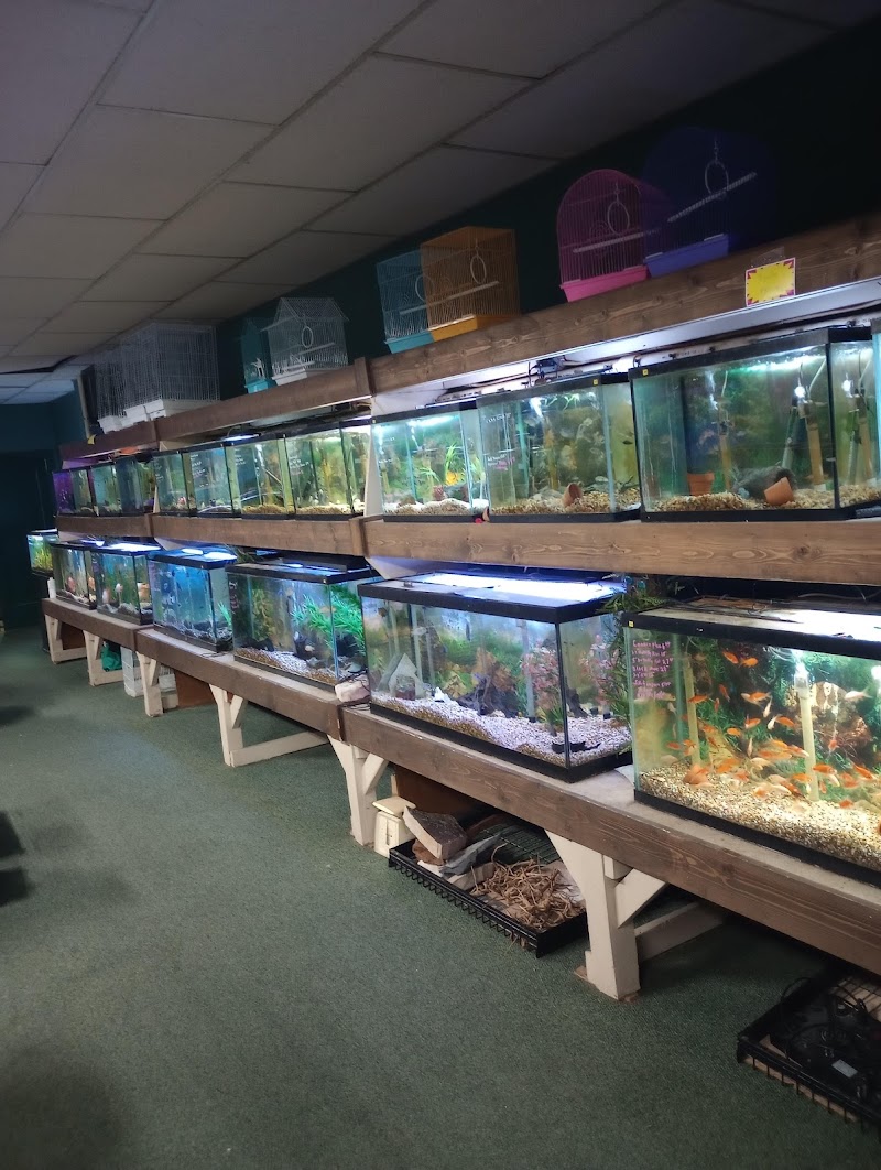 The Fish Store Pet Center - Photo 2