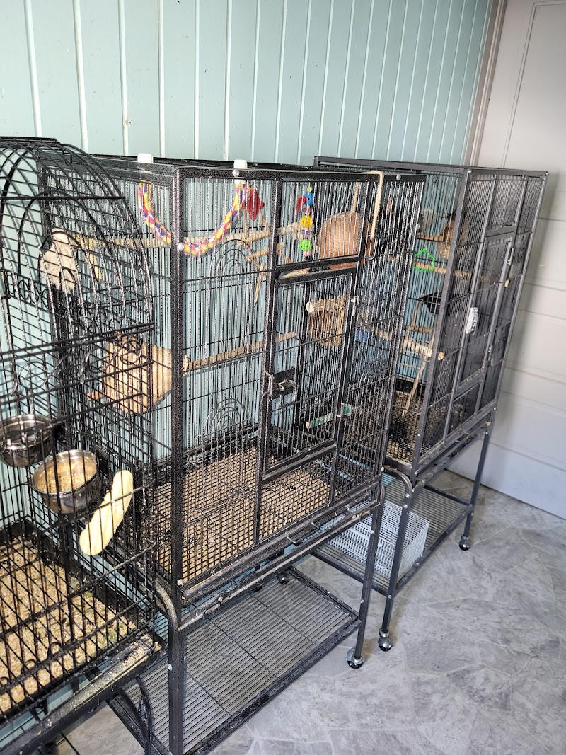 The Fish Store Pet Center - Photo 3