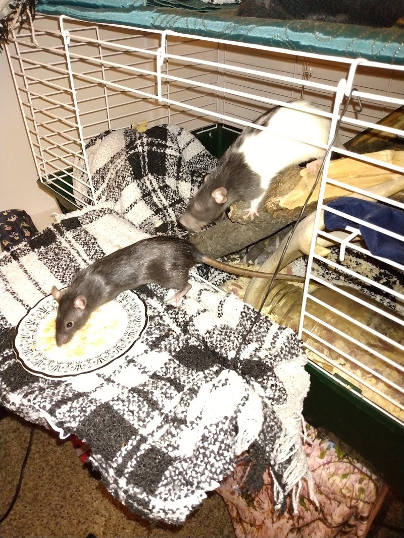 The Fish Store Pet Center - Photo 4