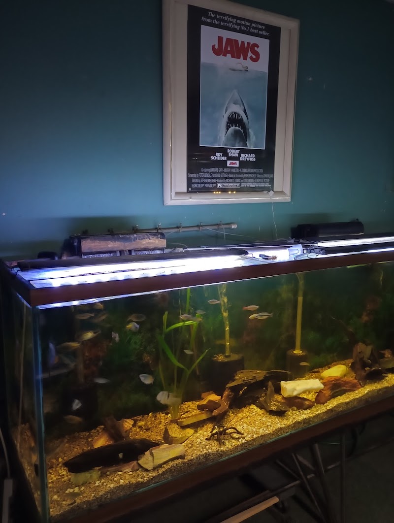 The Fish Store Pet Center - Photo 5