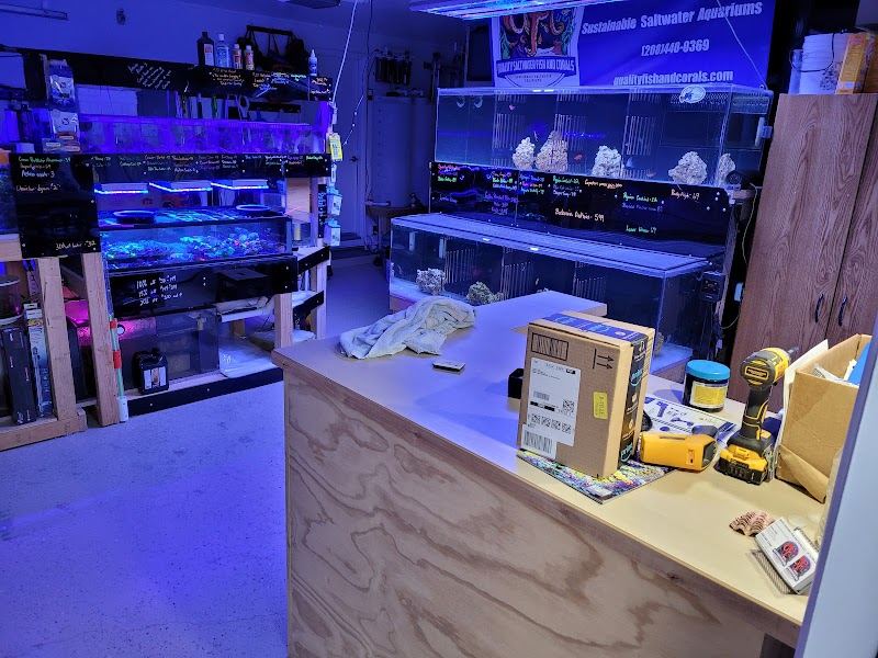 Quality Saltwater Fish And Corals LLC - Photo 1