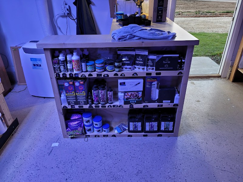 Quality Saltwater Fish And Corals LLC - Photo 4