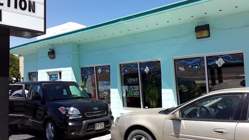 Fish Aquariums & Stuff - Photo 1