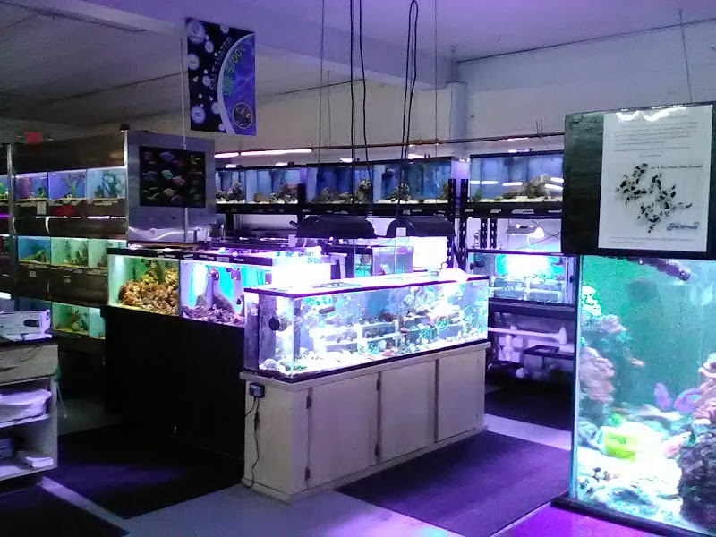 Fish Aquariums & Stuff - Photo 3