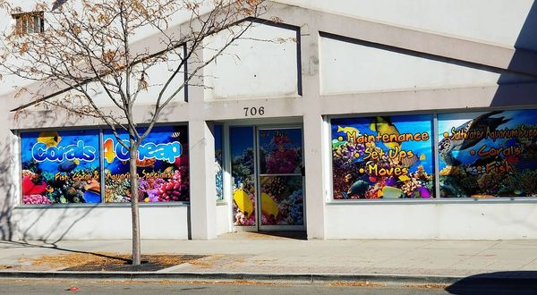 Corals4Cheap - Photo 1