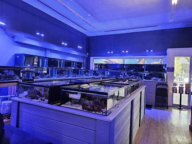 Corals4Cheap - Photo 2