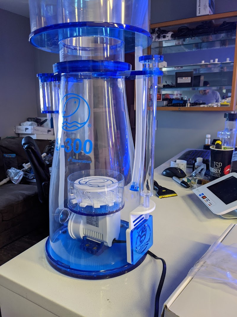 Corals4Cheap - Photo 5