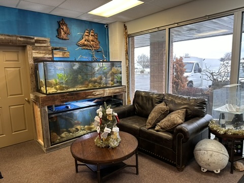 Sunken Ship Aquatics - Photo 5
