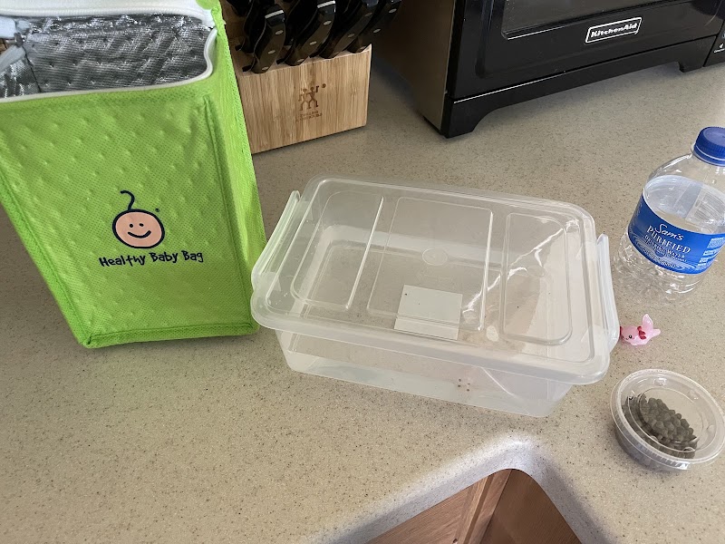 Awesome Axolotls - Photo 4