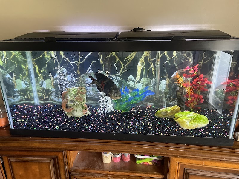 Aquarius AquaCare - Photo 3