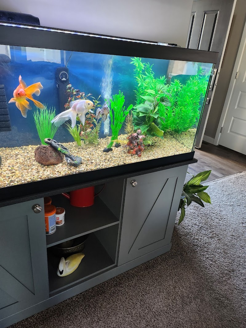 Aquarius AquaCare - Photo 5