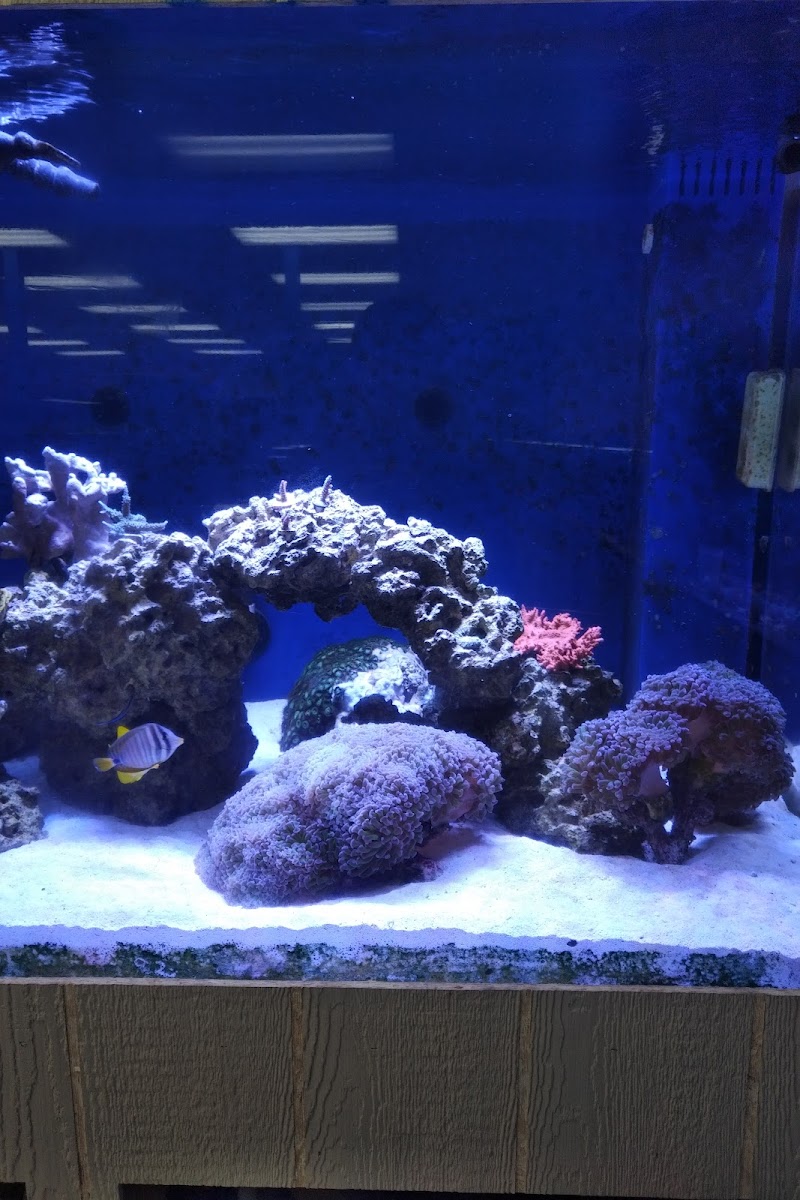 Fish World Spokane - Photo 3