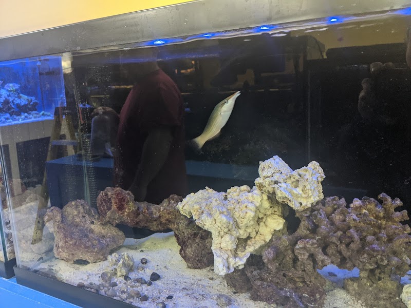 Fish World Spokane - Photo 5