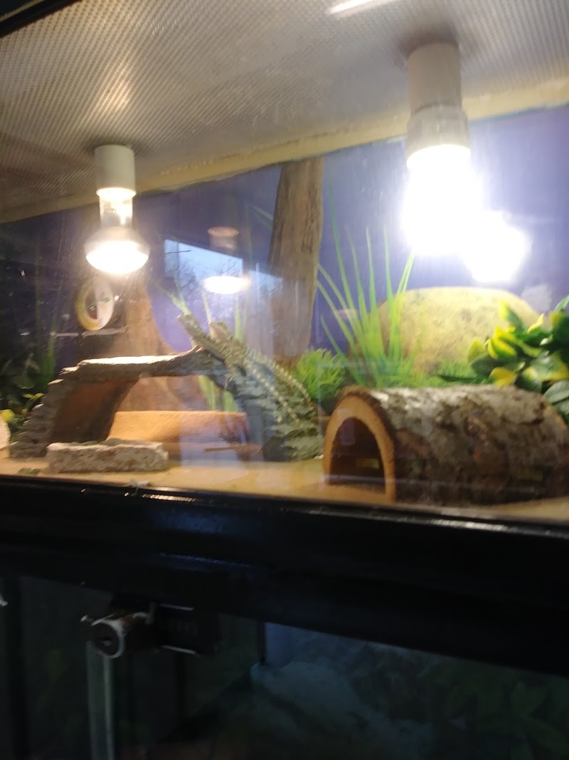 Duncan's Pet Shop - Photo 3