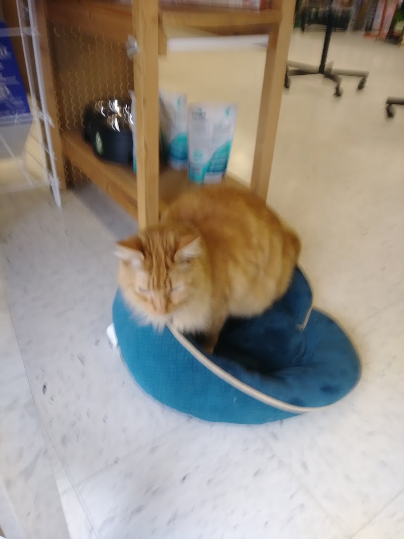 Duncan's Pet Shop - Photo 5