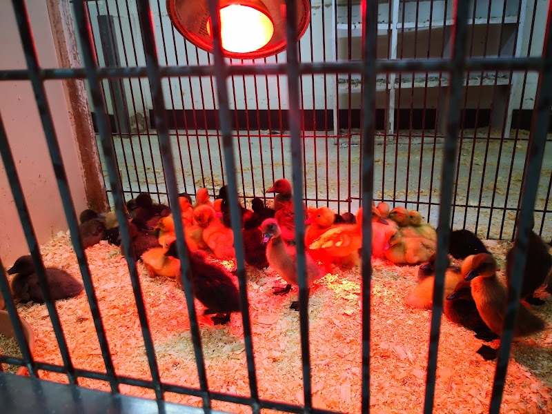 Northwest Seed & Pet - Photo 3