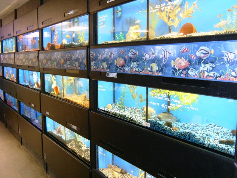 Northwest Seed & Pet - Photo 4